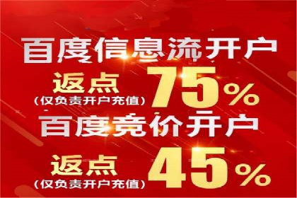 成功运用SEM技术提升网站流量的案例研究